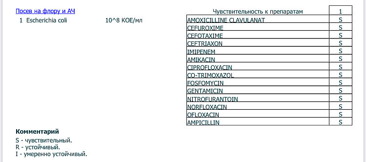 бак посев мочи escherichia coli 10 4. бак посев мочи escherichia coli 10 5 кое. моча на посев coli. бак посев мочи escherichia coli 10 5. моча на посев coli.