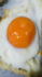 attached-photo