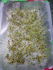 attached-photo