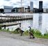 attached-photo