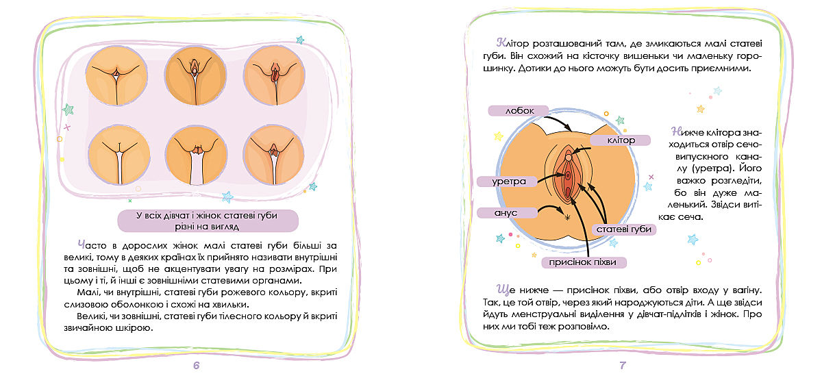 Причины асимметрии интимных органов