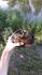 attached-photo
