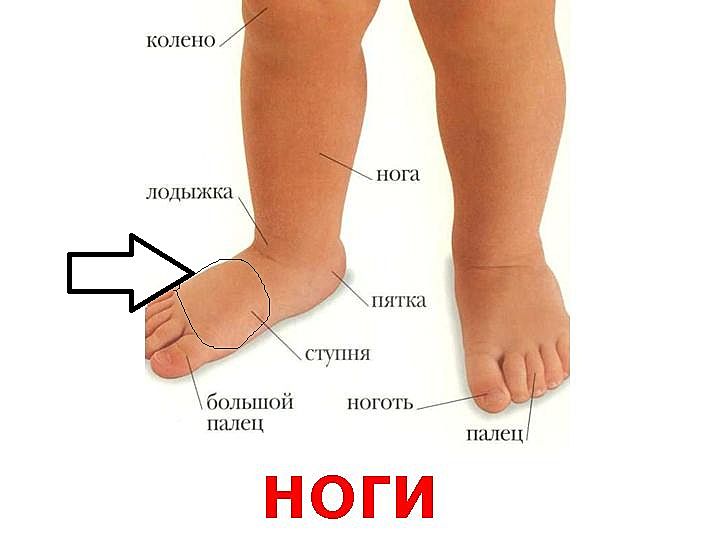 Болит ступня - Советчица