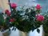 attached-photo