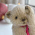 attached-photo