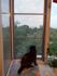 attached-photo