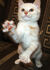 attached-photo