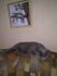attached-photo