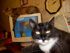 attached-photo