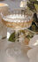 attached-photo