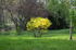 attached-photo