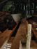 attached-photo