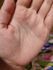attached-photo