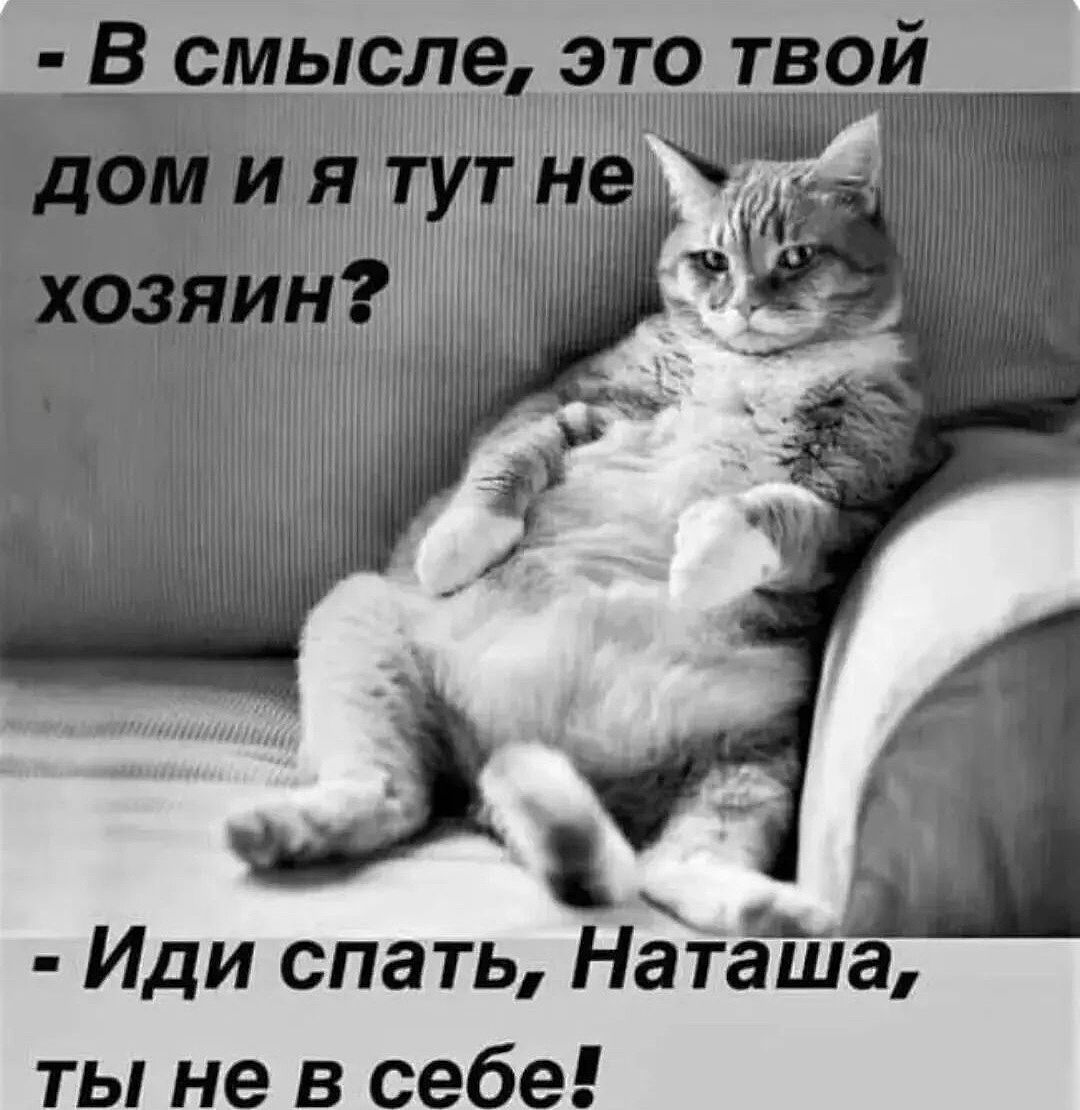 Владельцы сфинксов чем кормите своих лысиков? - Советчица