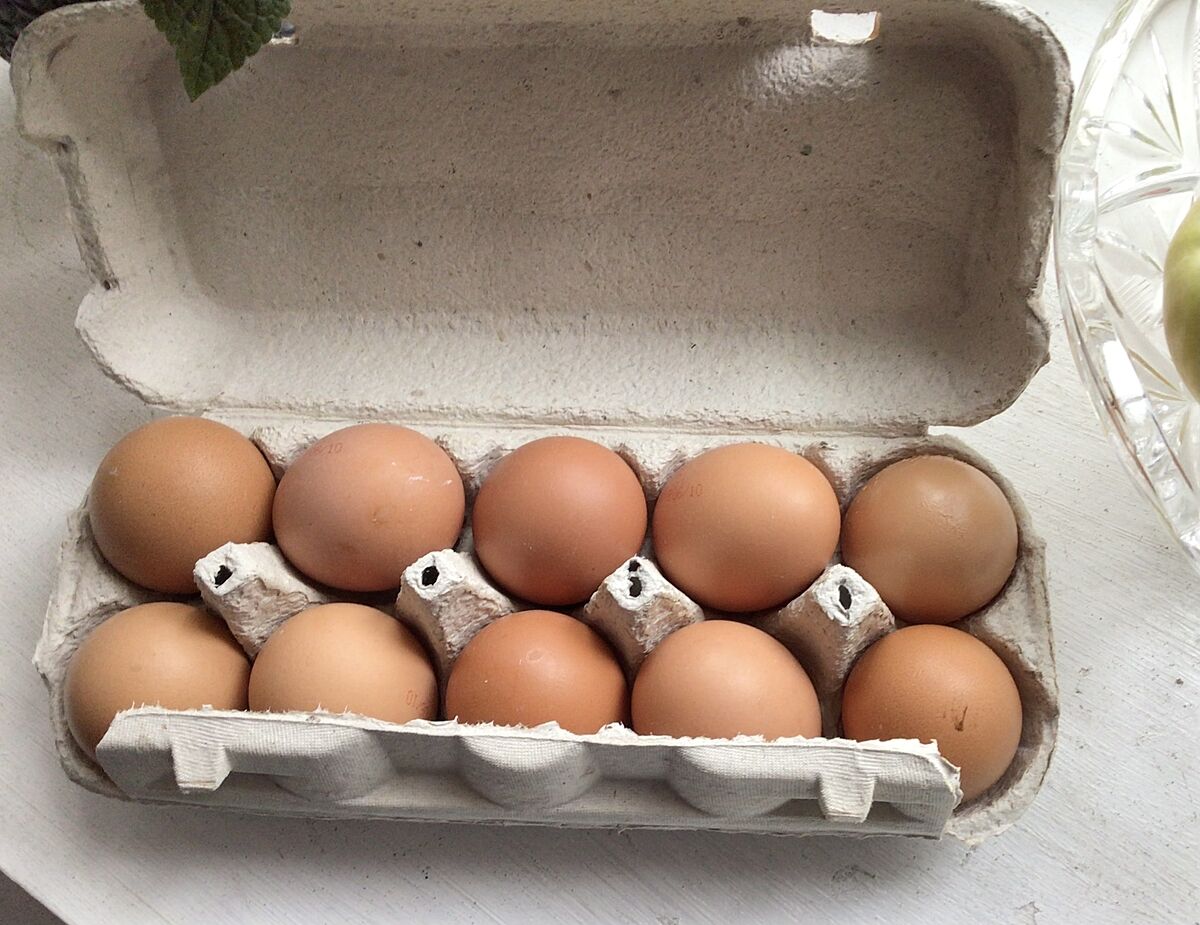 Яйца в Новусе по 26грн, чудеса! - Советчица